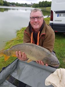 Mirror Carp