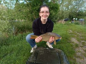 Common Carp
