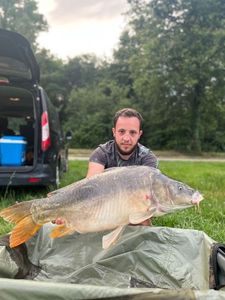 Leather Carp