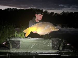 Mirror Carp
