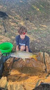 Leather Carp