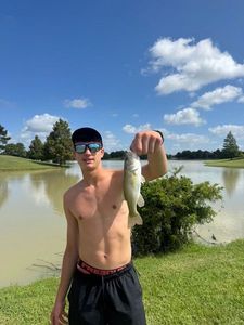 Smallmouth Bass