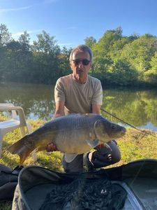 Mirror Carp