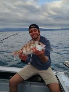 Snapper (Squirefish)