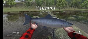 Atlantic Salmon