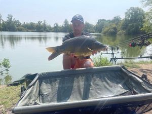 Mirror Carp