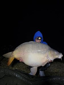 Leather Carp
