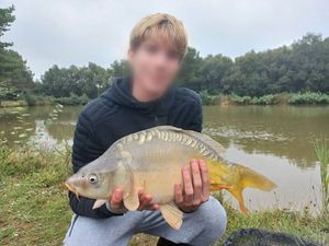 Common Carp