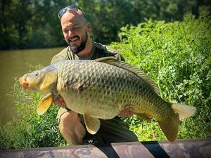 Common Carp