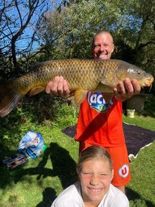 Common Carp