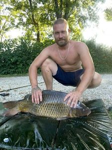 Common Carp