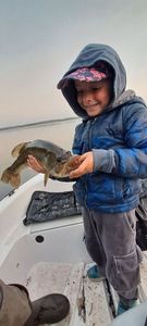 Largemouth Bass
