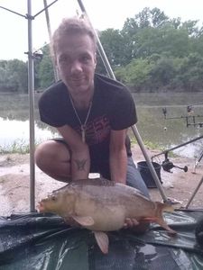 Mirror Carp