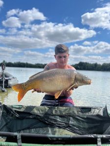 Mirror Carp