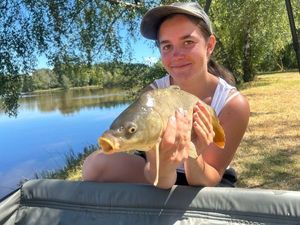 Mirror Carp