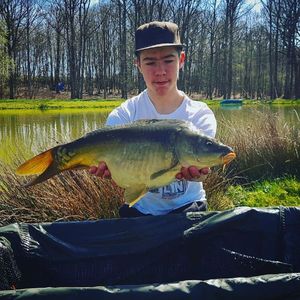 Mirror Carp