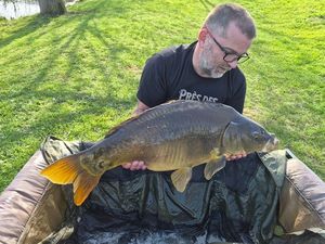 Mirror Carp