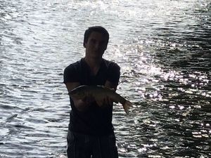 Chub