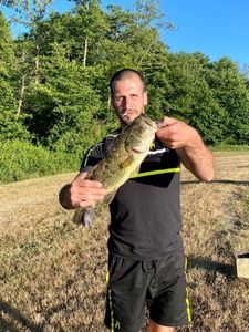Largemouth Bass