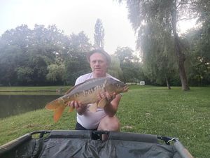 Mirror Carp