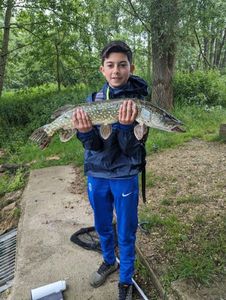 Northern Pike