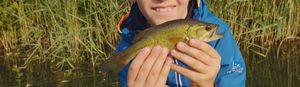Smallmouth Bass