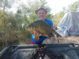 Common Bream