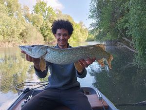 Northern Pike