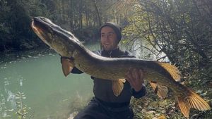 Northern Pike