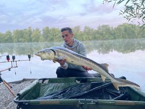 Sturgeon