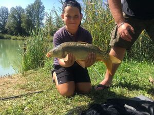 Common Carp