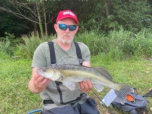 Zander