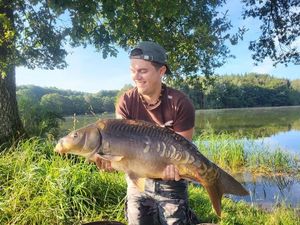 Mirror Carp