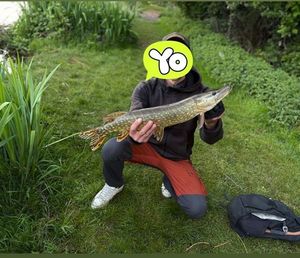 Northern Pike
