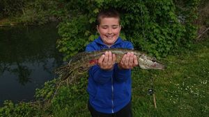 Northern Pike