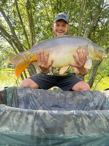 Mirror Carp