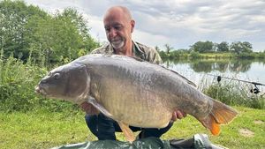 Mirror Carp