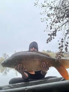 Mirror Carp