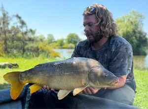 Mirror Carp
