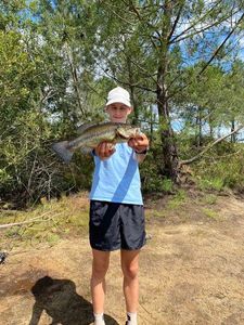 Largemouth Bass