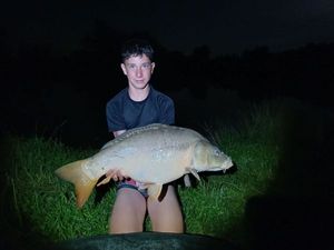 Mirror Carp