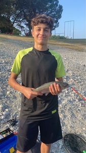 Rainbow Trout