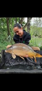Mirror Carp