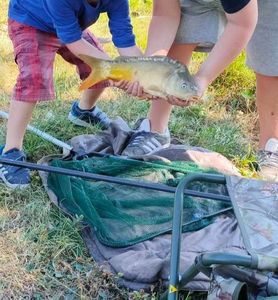 Mirror Carp