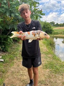 Koï Fish