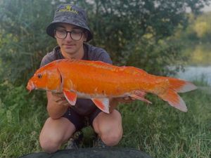 Koï Fish