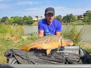 Mirror Carp