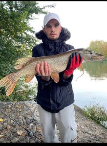 Northern Pike