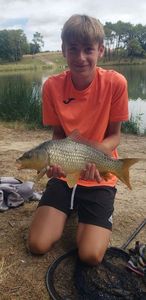 Common Carp