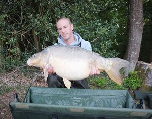 Mirror Carp